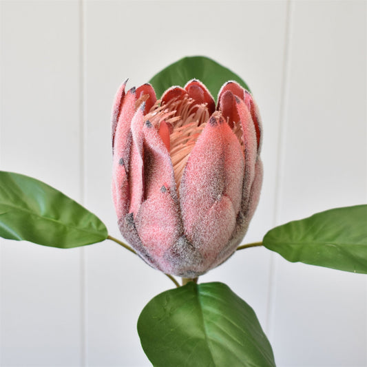 22" Protea Spray in Mauve | XJE